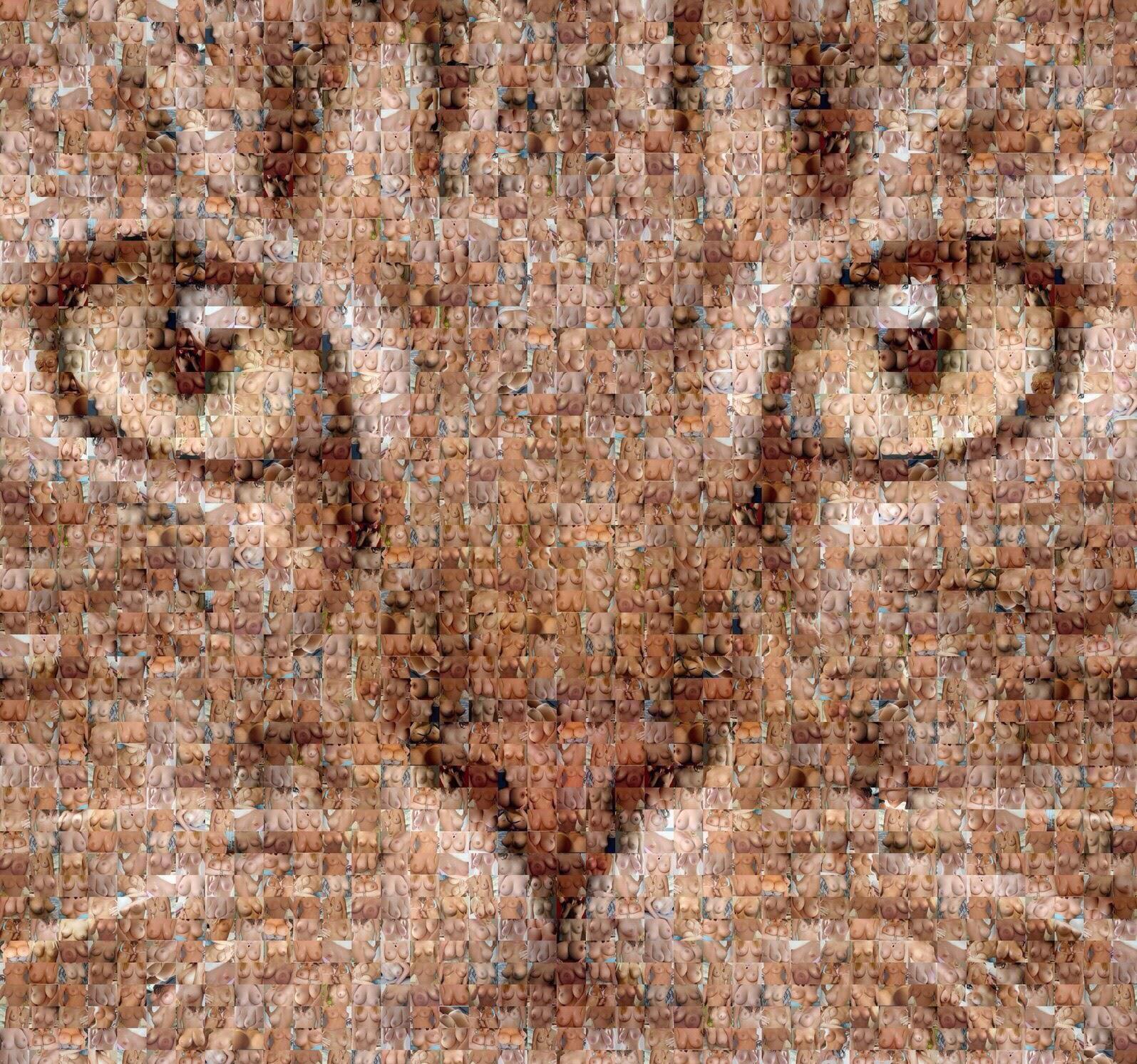 Cat made of nudes