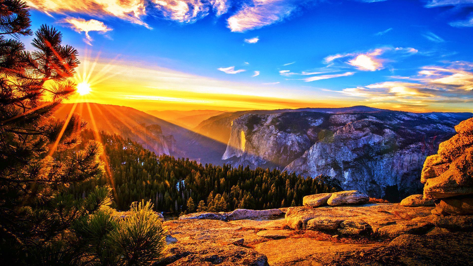 Morning sun background