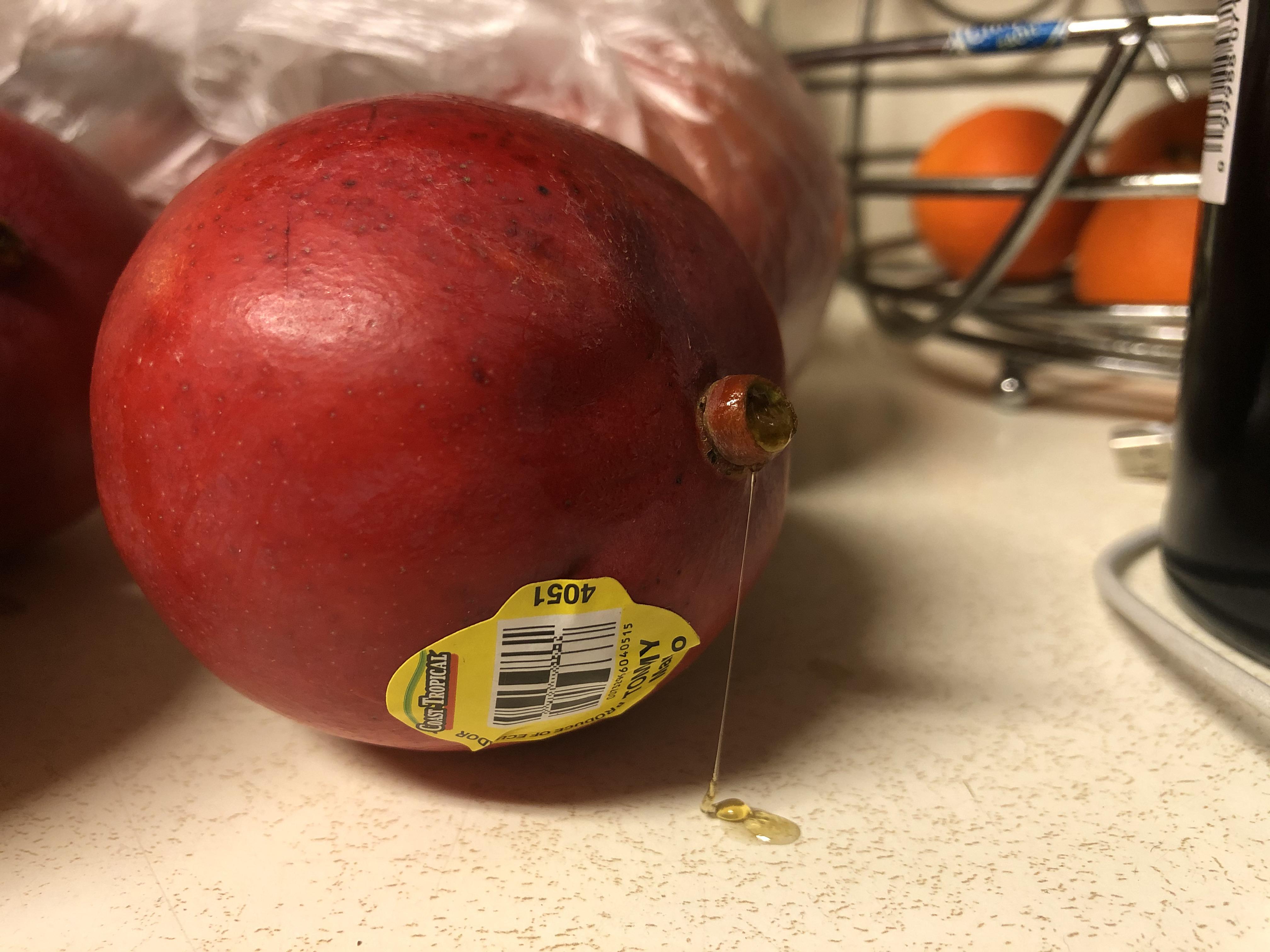 Mangofruitloops leak