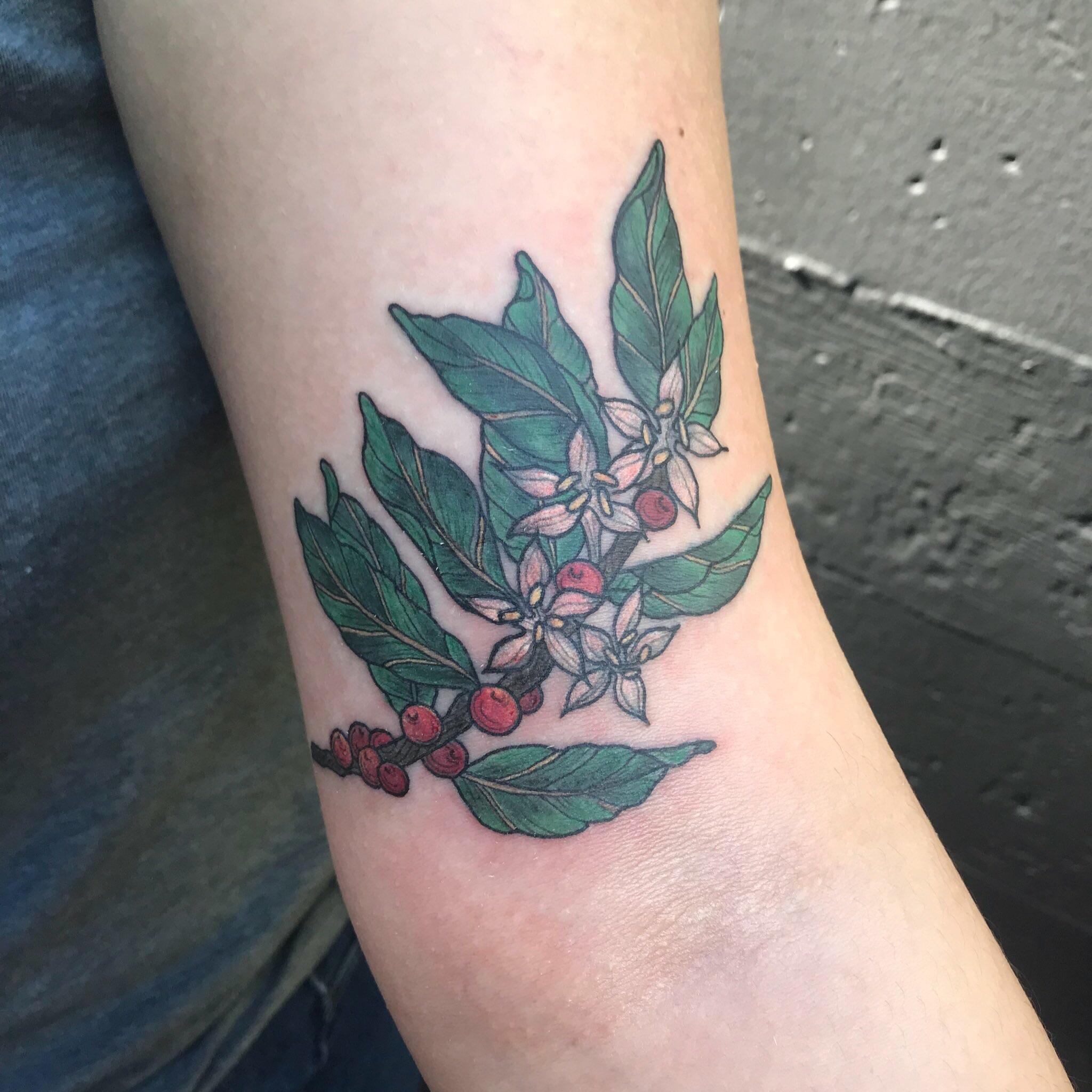 So I Got A Coffee Bean Flower Tattoo Today : R/Starbucks 2048_x_2048_jpg
