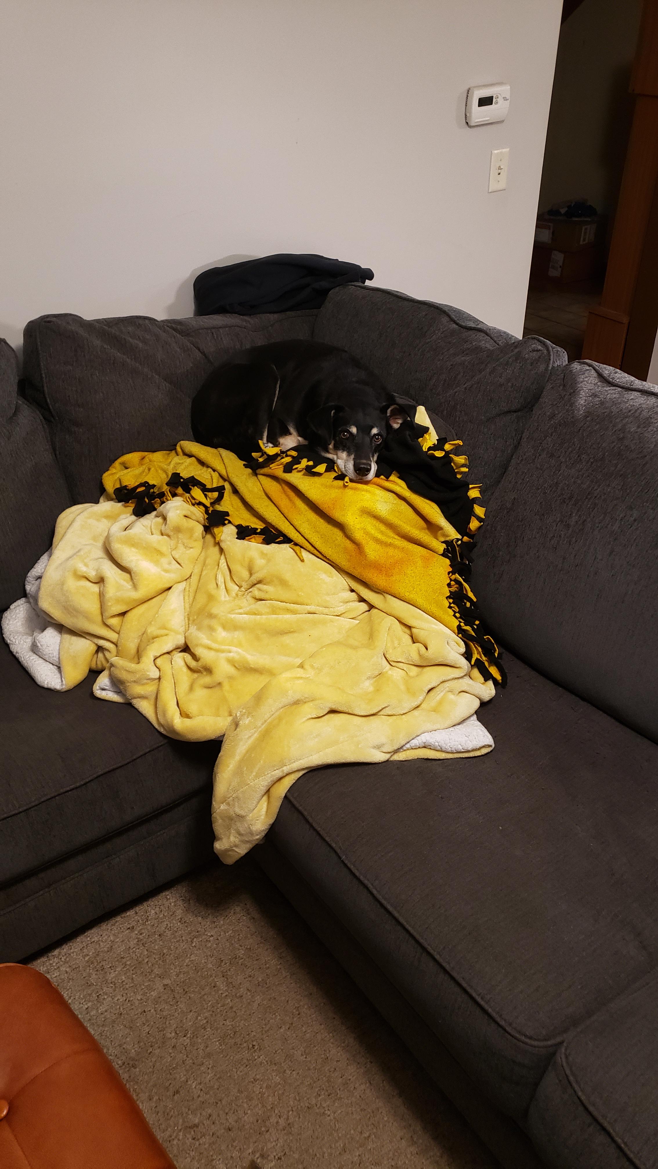 Saturdays Ukraine Solidarity Roundtable - 11092024 : rEnough_Sanders_Spam Panpiano's Patreon Collection: Highest Quality Adult Content for Your Viewing Pleasure