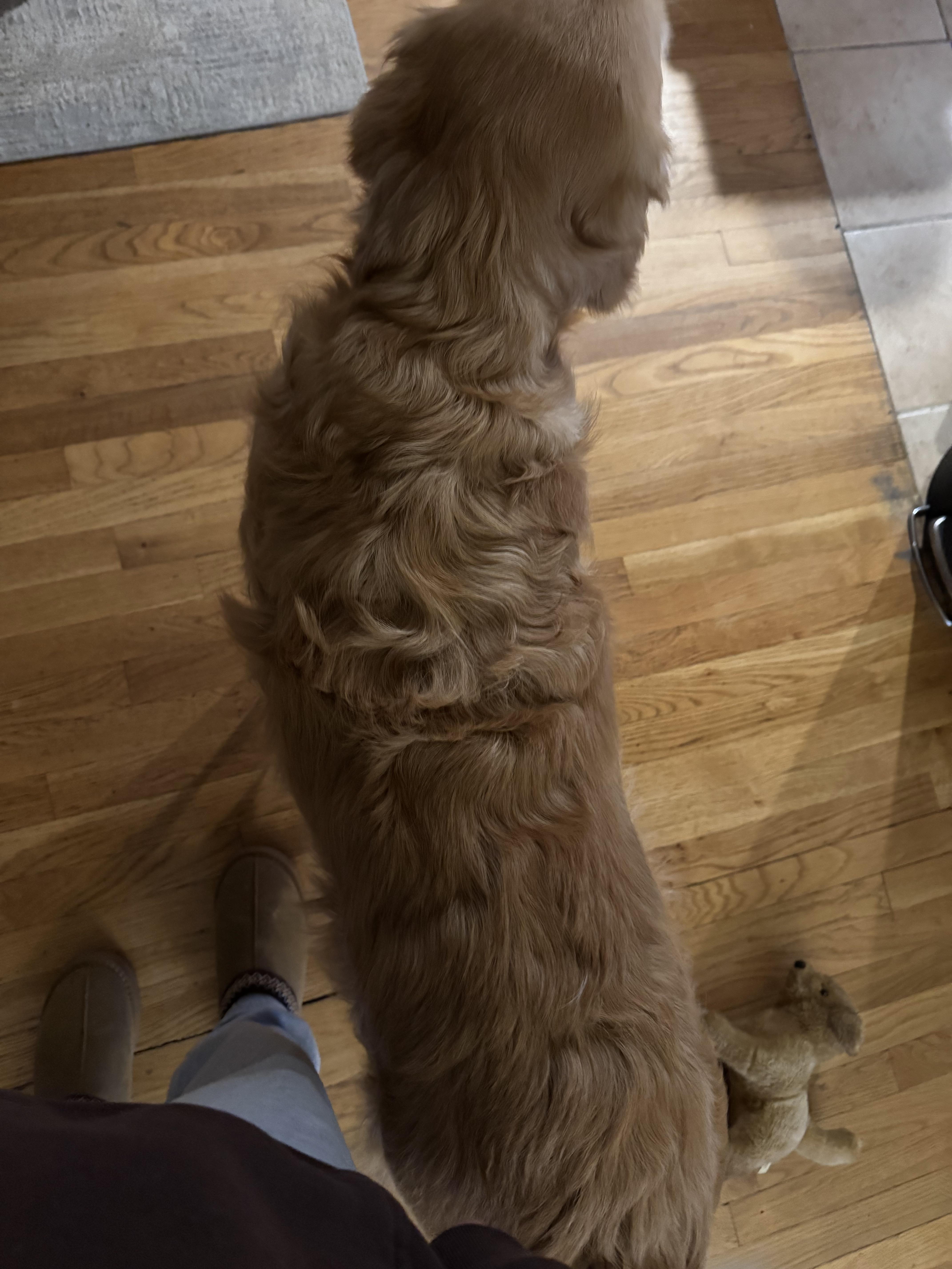 ทรง ผม ชาย หยิก ฟู