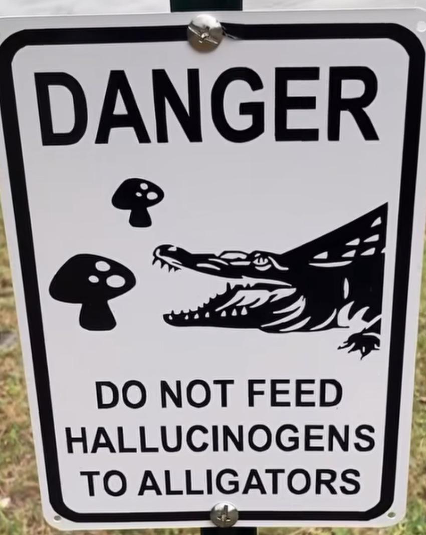 What happened here… : rfunnysigns Do not feed hallucinogens to the alligators