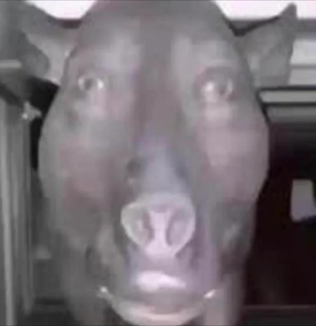 aldreannın uyumuş halı. (Korkmayın diye spoiler koydum) : rKGBTR Aldreann ifşa