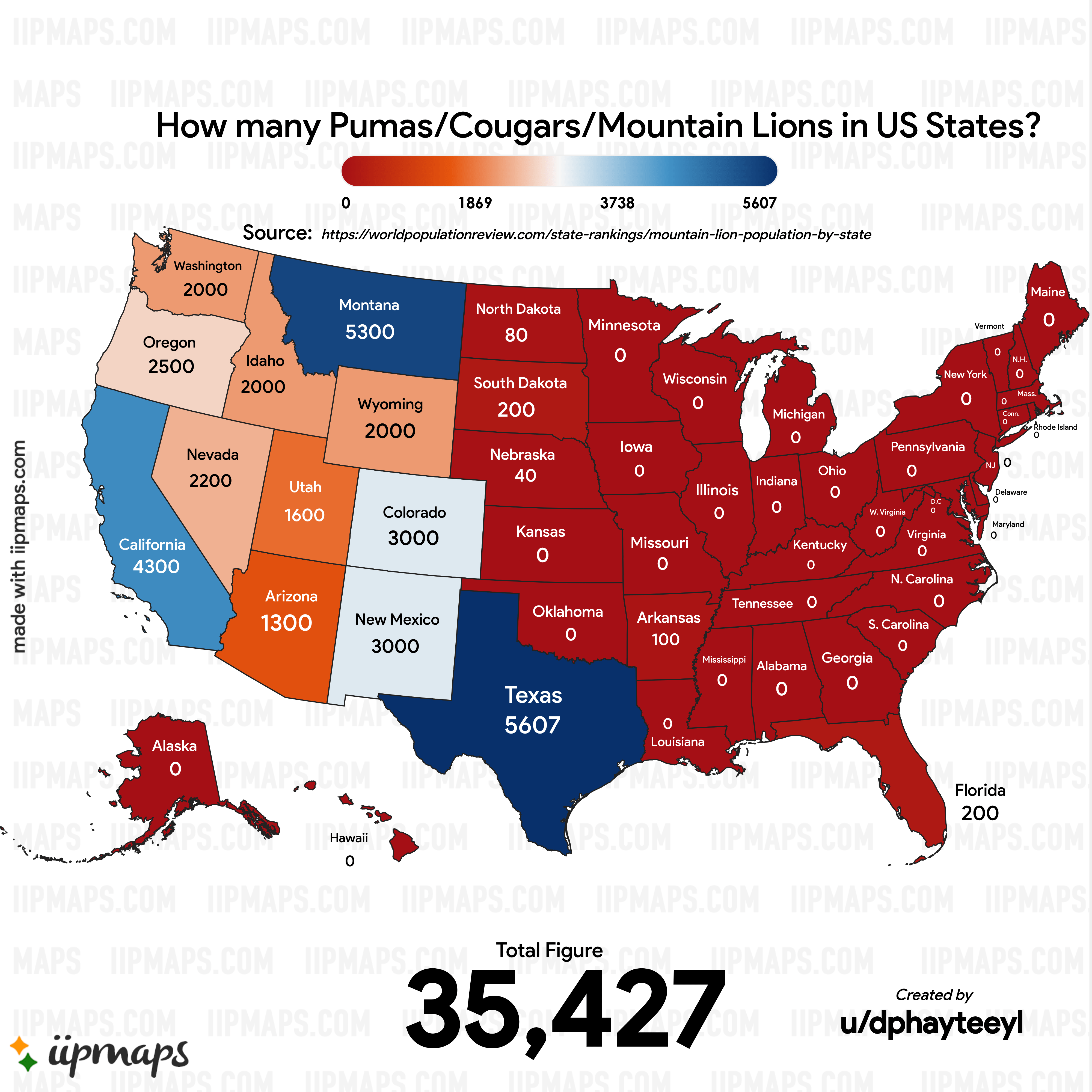 Puma and cougar difference