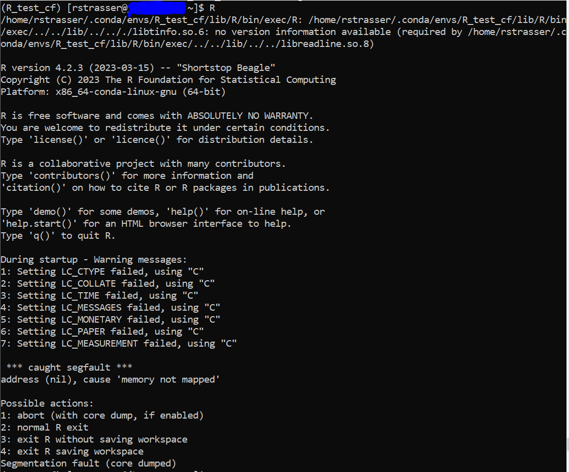 segmentation fault - Segfault error directly after R startup (within fresh  conda env) - Stack Overflow