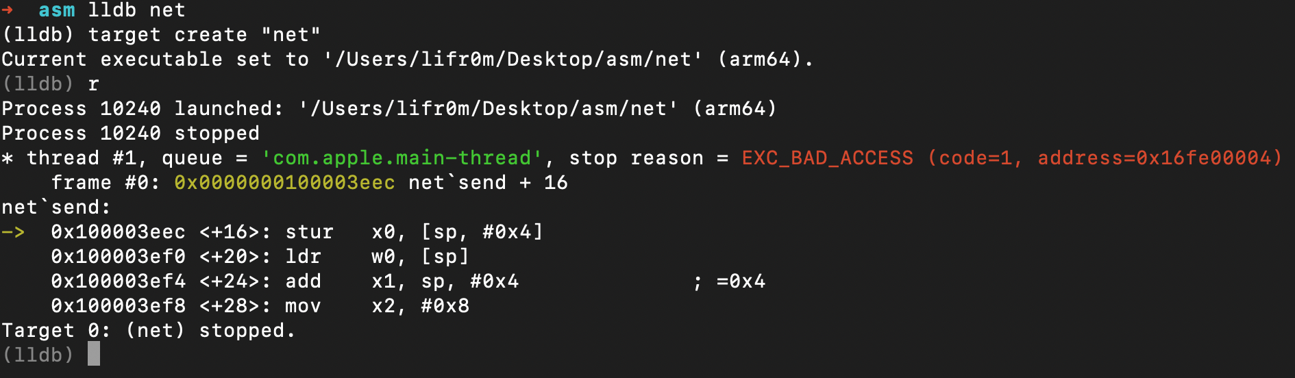 macos - Why does strlen give segfault in assembly? - Stack Overflow