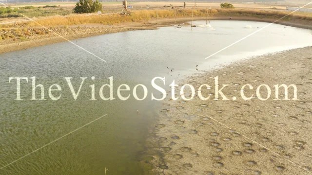 Beit Hashita kibbutz, Fish Farming pools, Birds fly