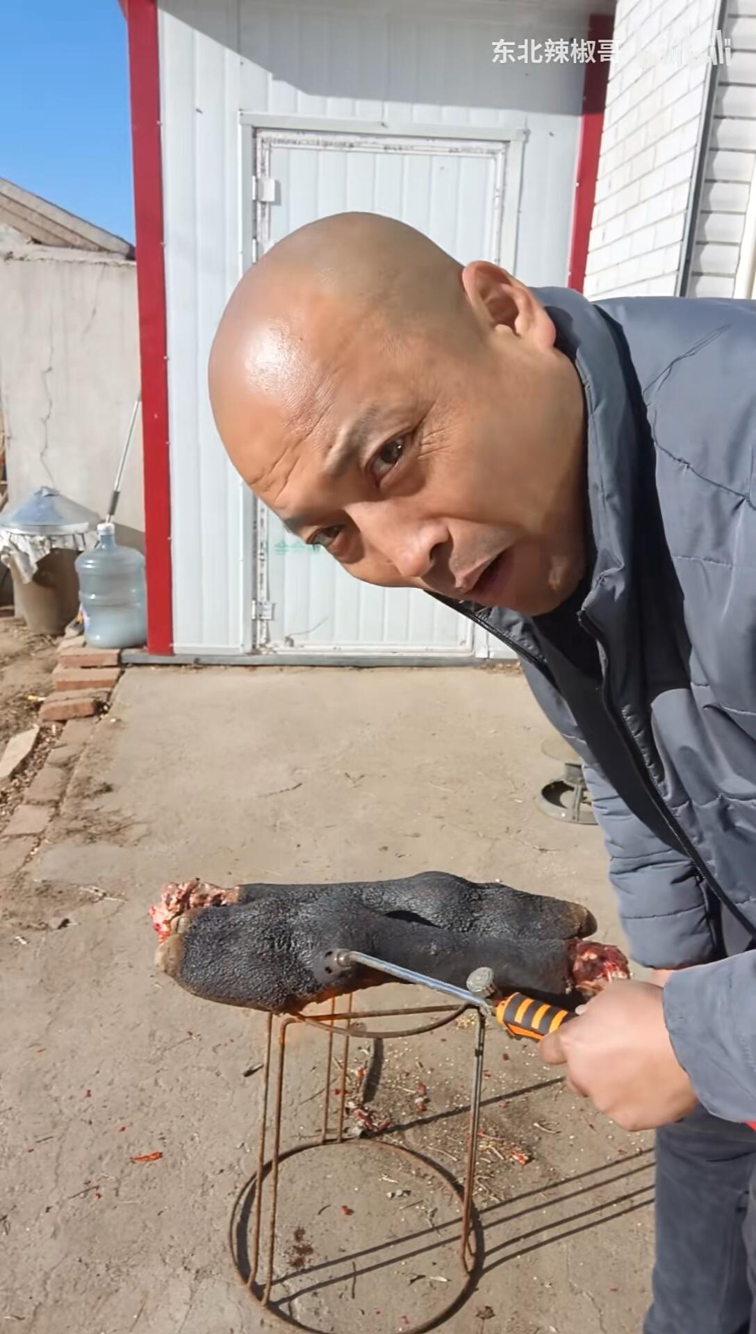 中华田园兔 路边的野草吃得香_哔哩哔哩_bilibili