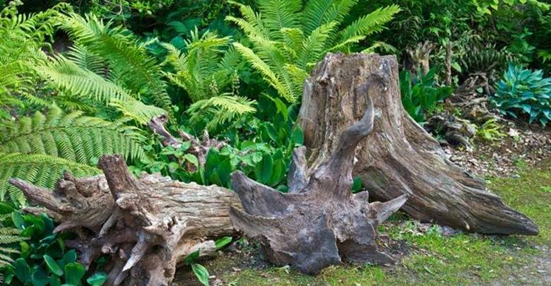 чугунки разрисованный мордочки для сада