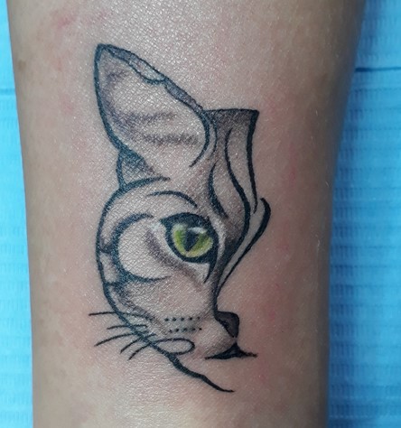 Tatuaggio Gatto - Denis Trevisani Tattoo Studio 474_x_444_jpg