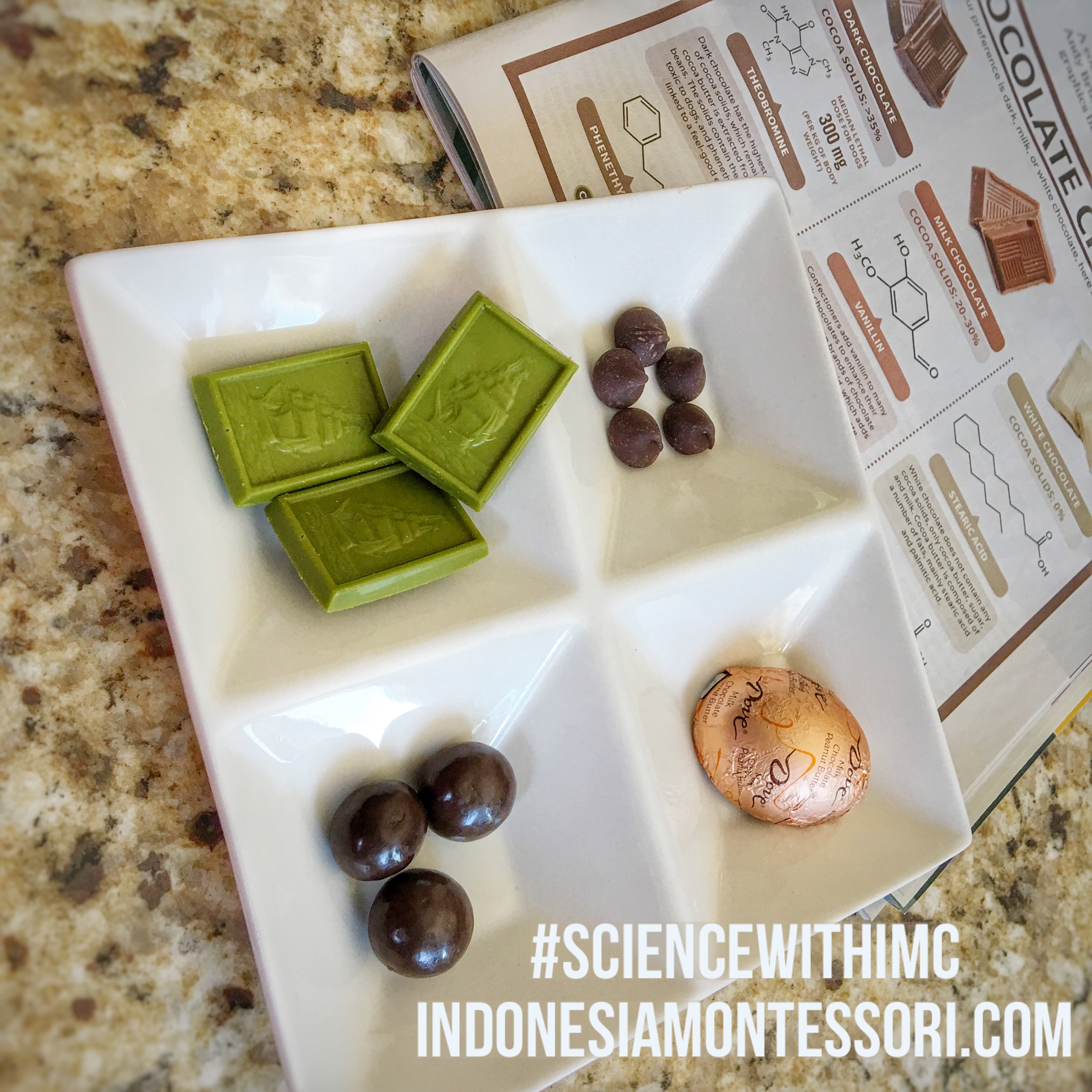 Sains Anak Prasekolah : Macam-Macam Cokelat Yum! – IndonesiaMontessori.Com  – global education for Indonesian parents and children