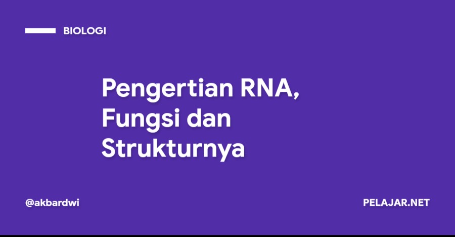 Pengertian RNA, Fungsi dan Strukturnya - Pelajar