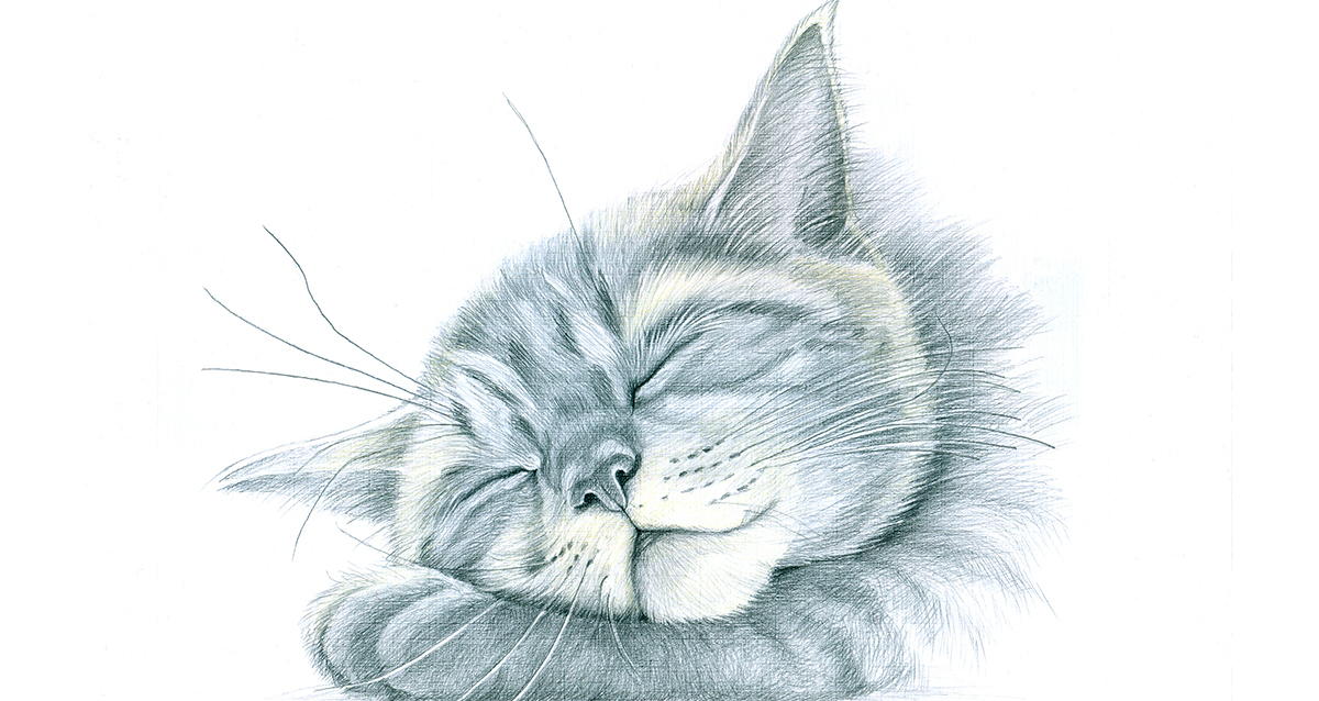 что можно нарисовать на простом листе