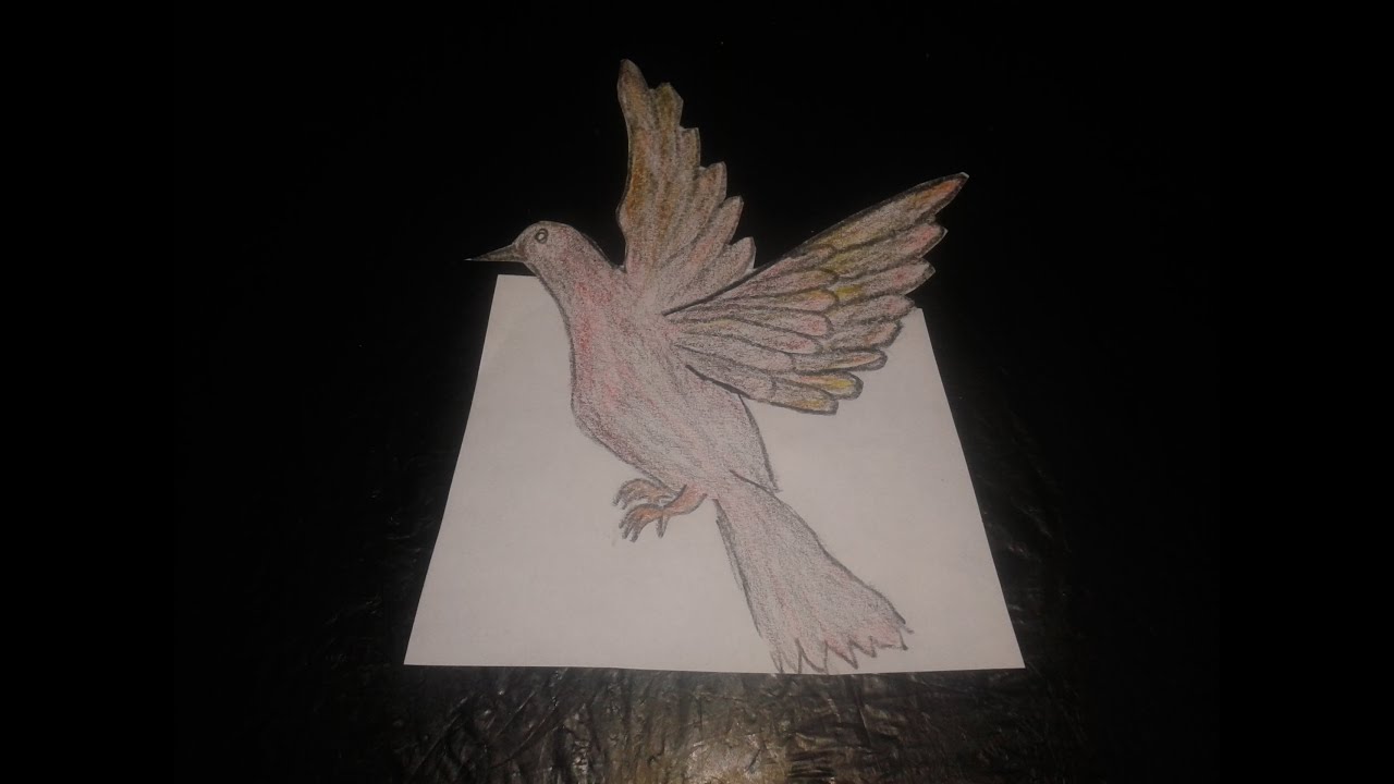 Belajar Cara Menggambar Burung Merpati By Karya Menggambar Rayon 720_X_1280_jpg