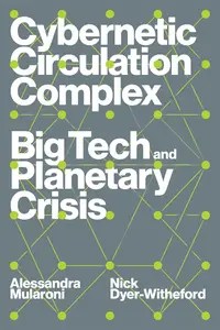 Cybernetic Circulation Complex Big Tech and Planetary Crisis