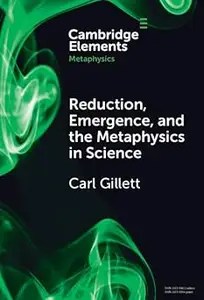 Reduction, Emergence and the Metaphysics in Science Reduction, Emergence and the Metaphysics in Science