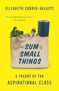 The Sum of Small Things A Theory of the Aspirational Class