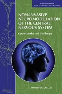 Non-Invasive Neuromodulation of the Central Nervous System Opportunities and Challenges Workshop Summary