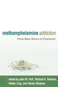 Methamphetamine Addiction From Basic Science to Treatment