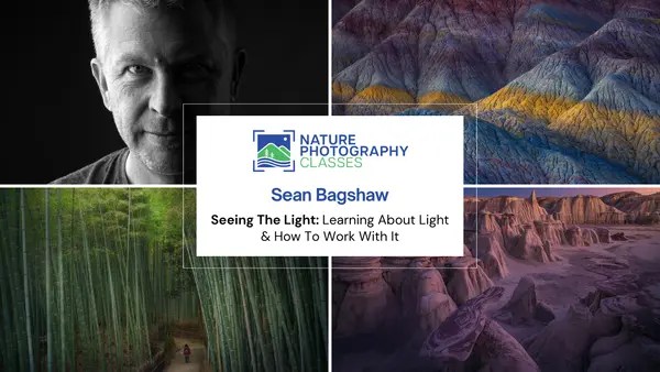 Sean Bagshaw – Seeing The Light: Learning About Light & How To Work With it