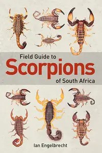 Field Guide to Scorpions of South Africa