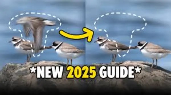 PiximPerfect – How to Remove Objects in Photoshop 2025