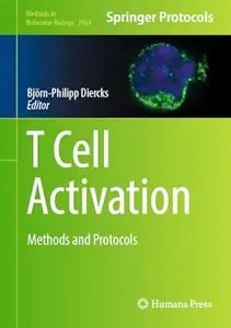 T Cell Activation T Cell Activation