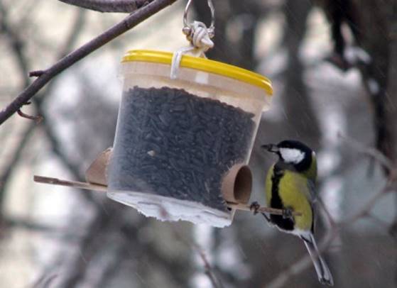 чугунки разрисованный мордочки для сада