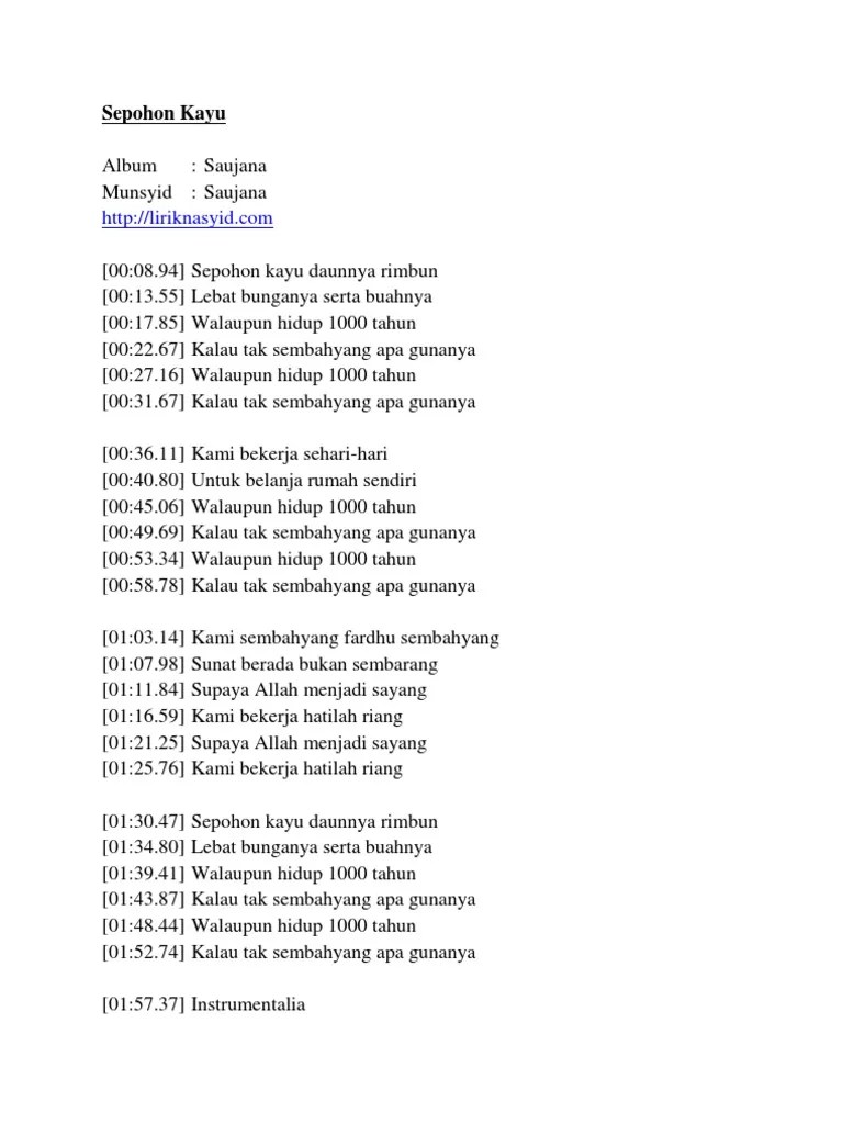 Sepohon Kayu Daunnya Rimbun