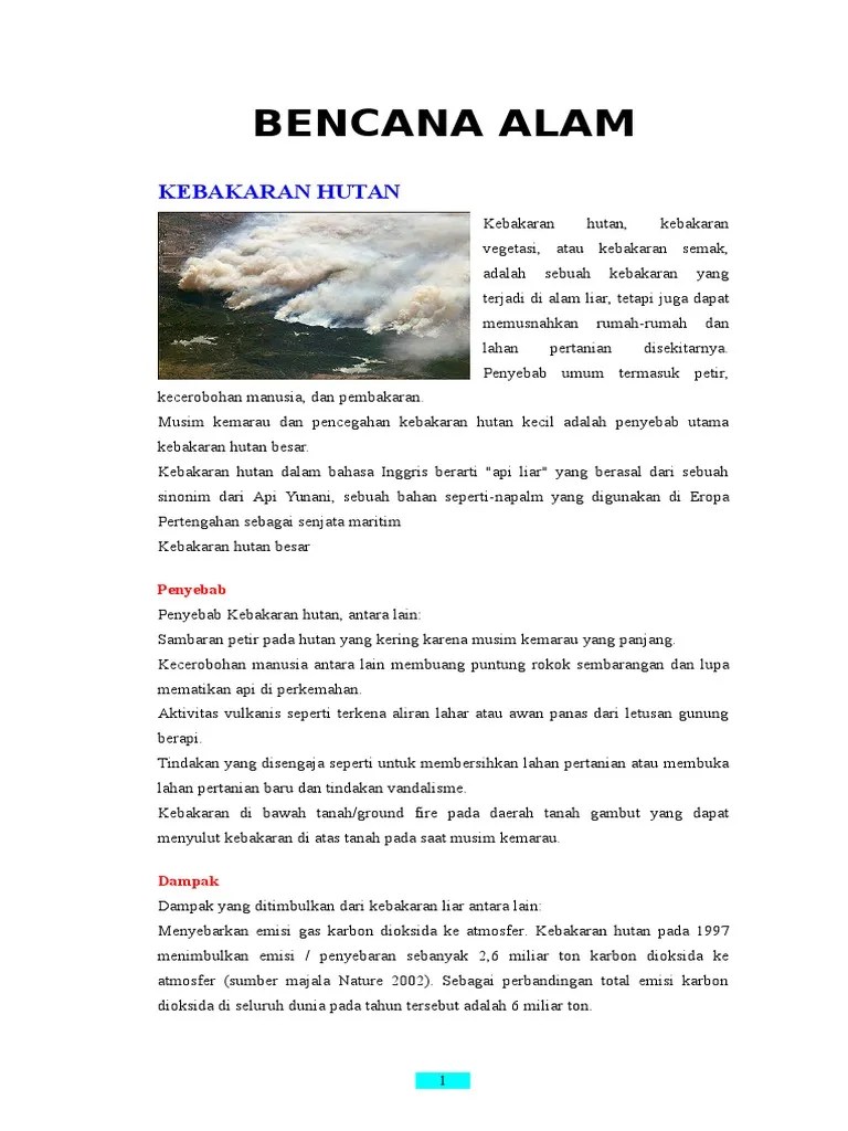 Artikel Bahasa Inggris Tentang Bencana Alam – Nasi