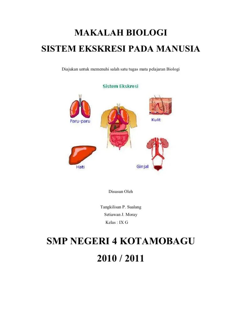 Contoh Makalah Biologi Tentang Sistem Ekskresi - Contoh Surat