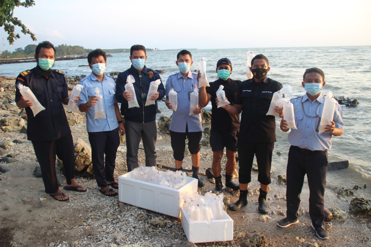 Selundupkan 12 Ribu Benih Lobster, Warga Lebak Ditangkap Polisi - ujaran.co