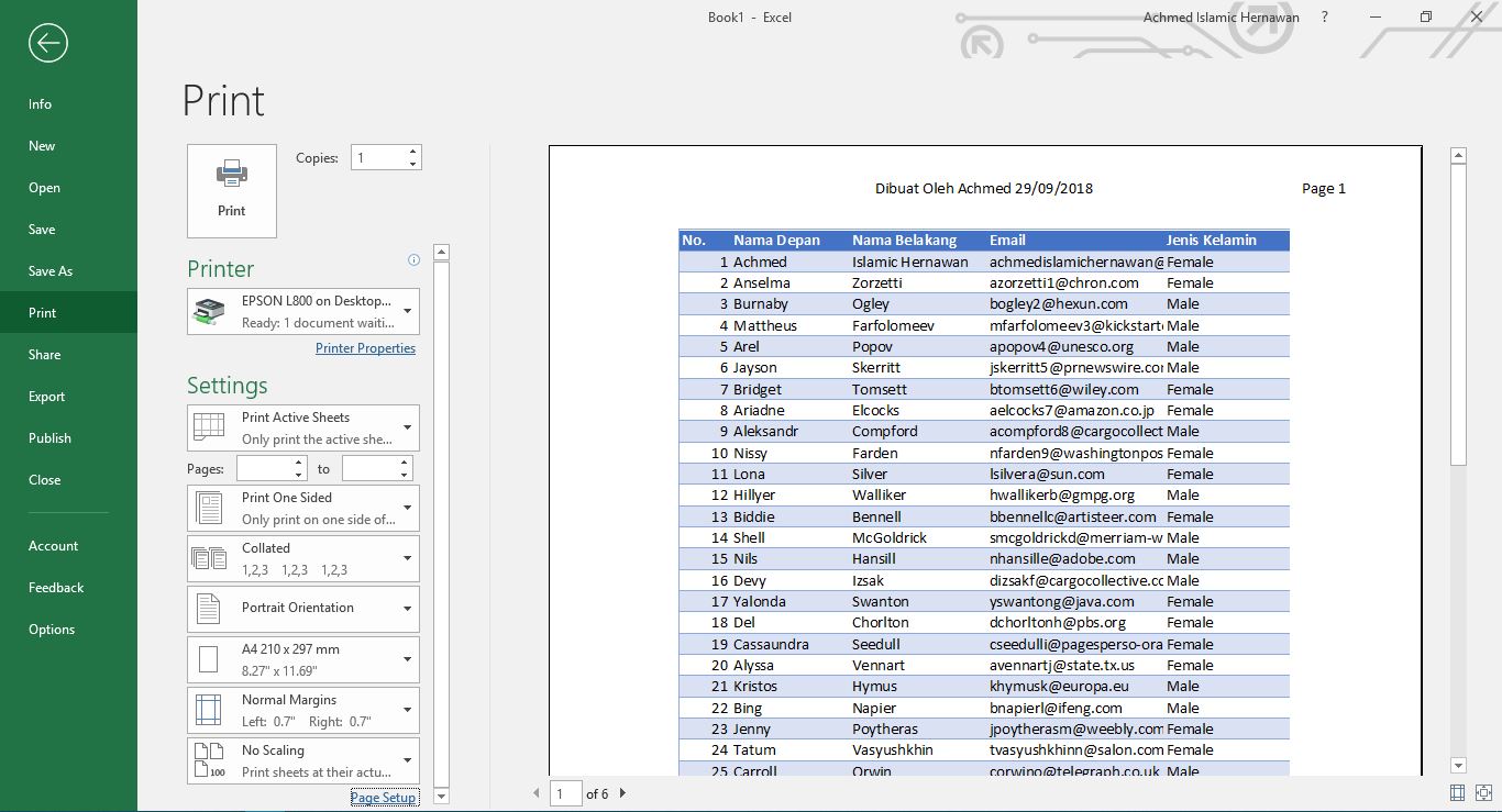 6 Langkah Mudah Cara Print Excel Yang Sempurna! - Windowsku