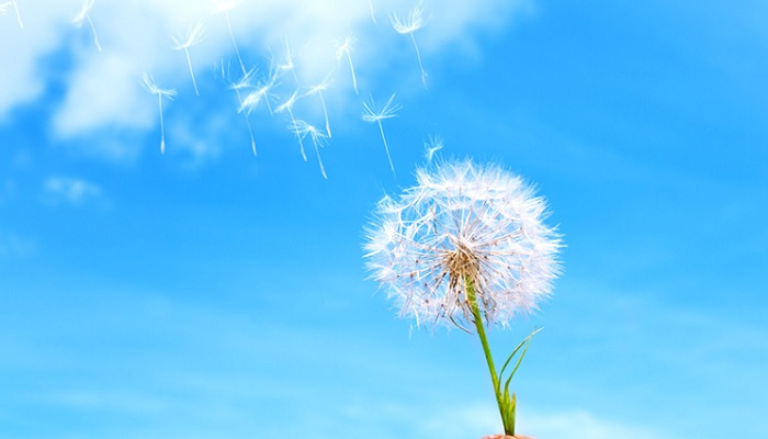 Surga, Ini 4 Hal Yang Tidak Ada Di Dalamnya - Islampos