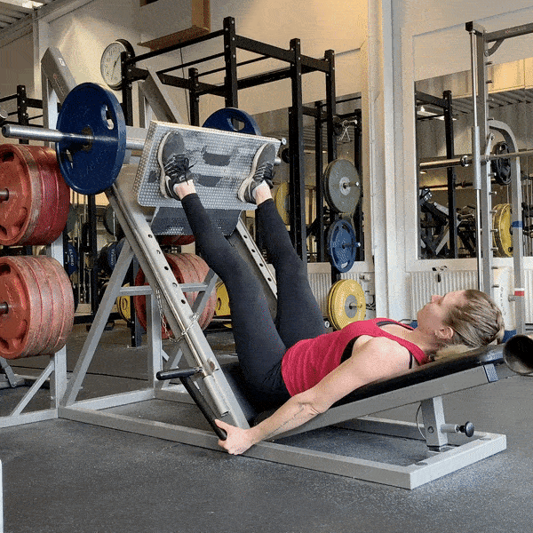 Leg Press: Muscles Worked &amp; Technique – StrengthLog