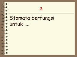 apakah yang dimaksud dengan stomata adalah …………. tolong dijawab  dengan benar dan tepat , - Brainly.co.id