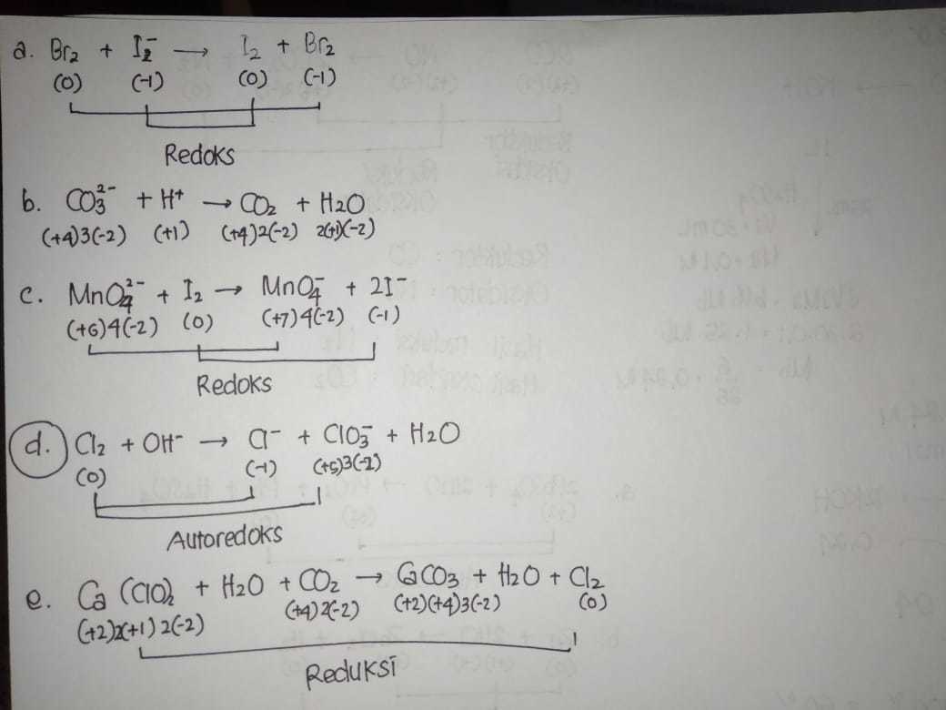 1. Diantara reaksi berikut ini yang merupakan reaksi autoredoks adalahtolong sama caranya yaaa - Brainly.co.id