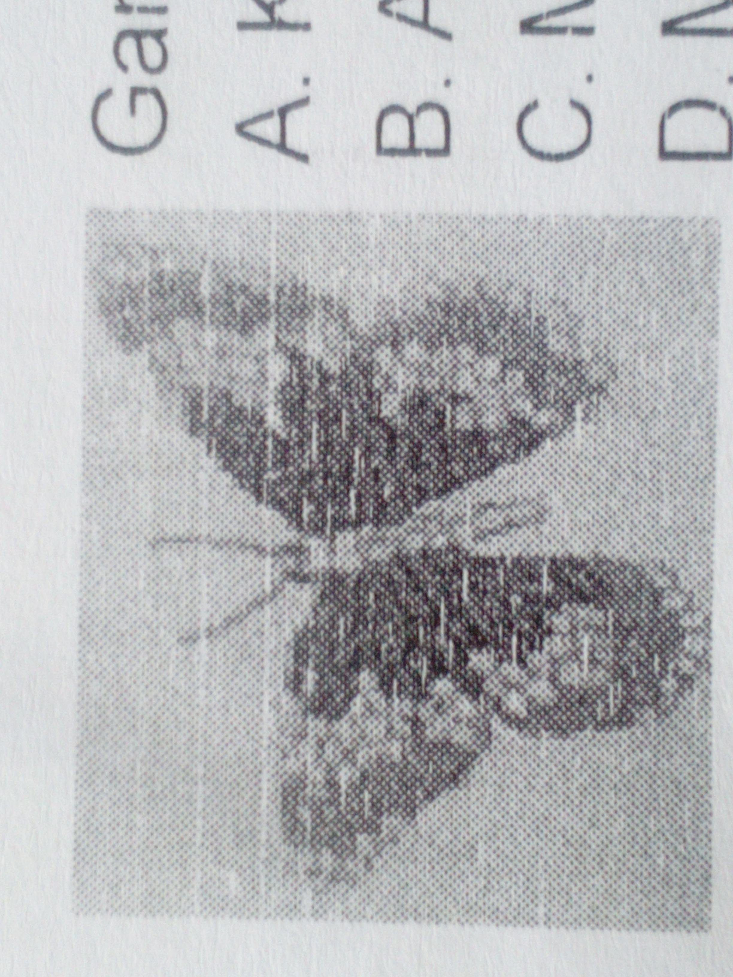 Gambar Disamping Adalah Termasuk Karya Seni Rupa... A. Kolase B. Aplikasi C. Mozaik D. Montase - Brainly.co.id 3264_X_2448_jpg