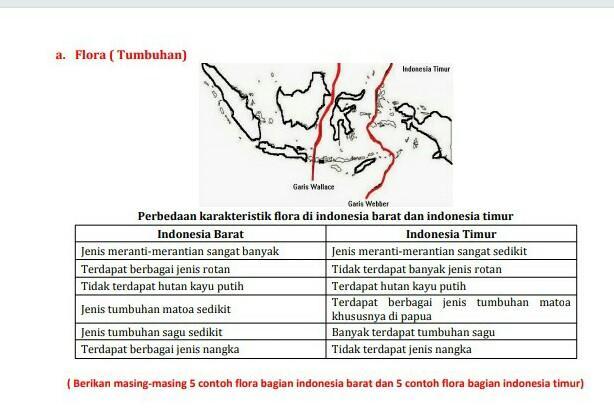 Berikan masing-masing 5 contoh flora bagian indonesia barat dan 5 contoh  flora bagian indonesia - Brainly.co.id