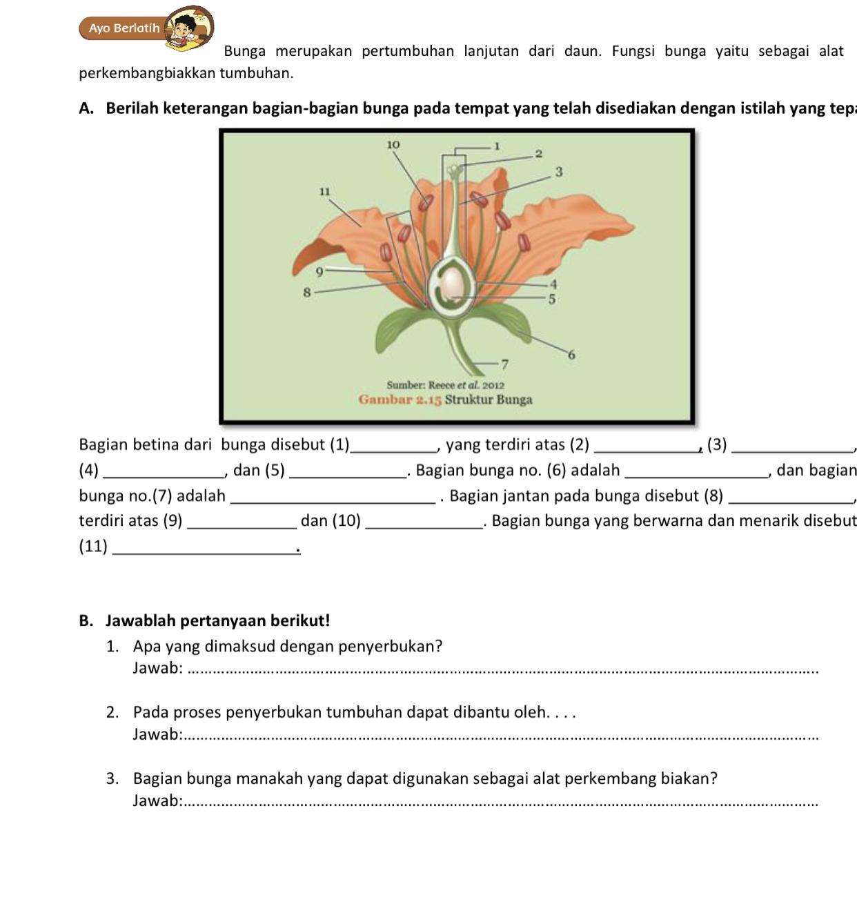 Bantuin ya pls kak plllsss - Brainly.co.id