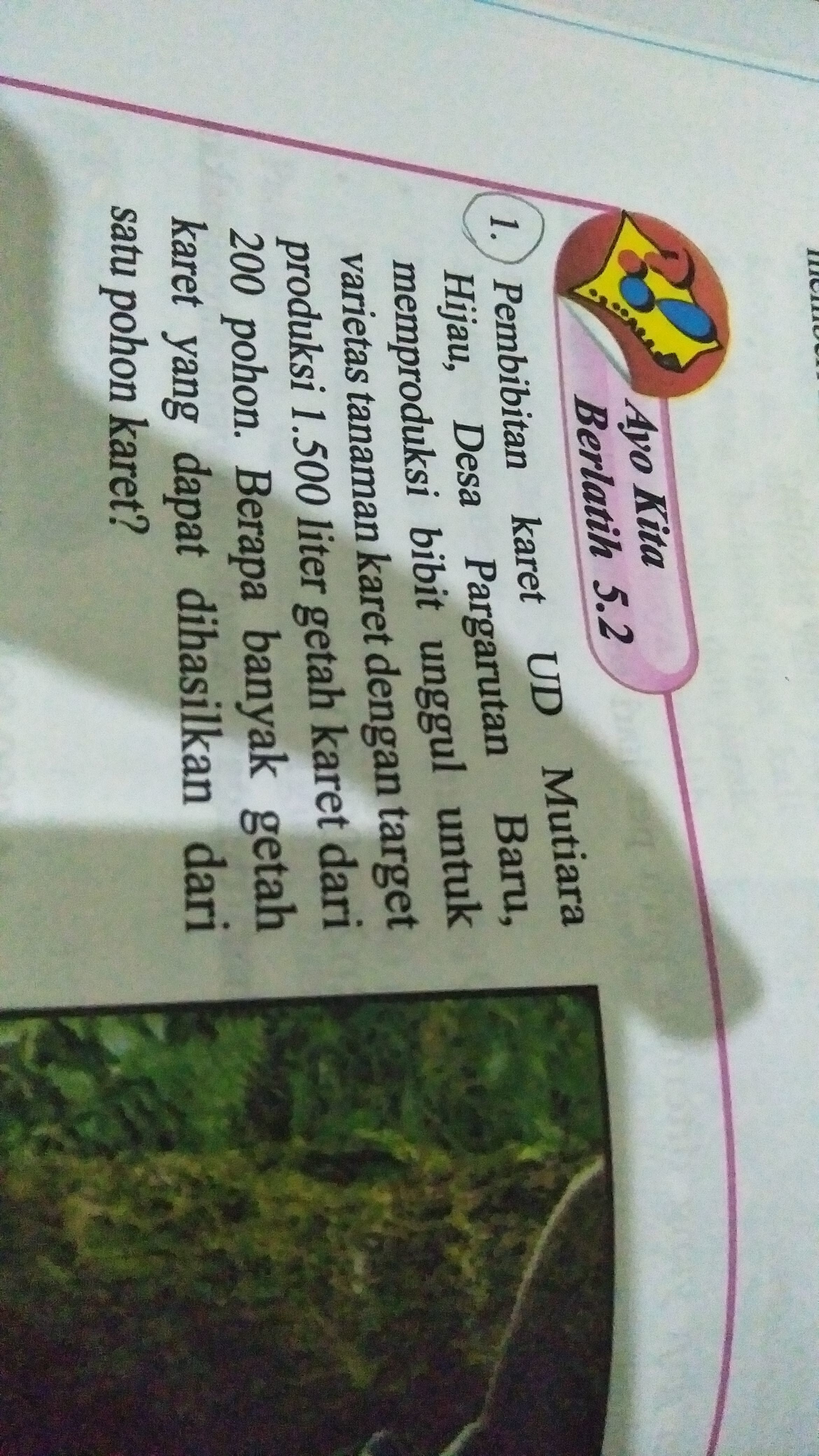 28+ Desa pargarutan baru memproduksi bibit image HD