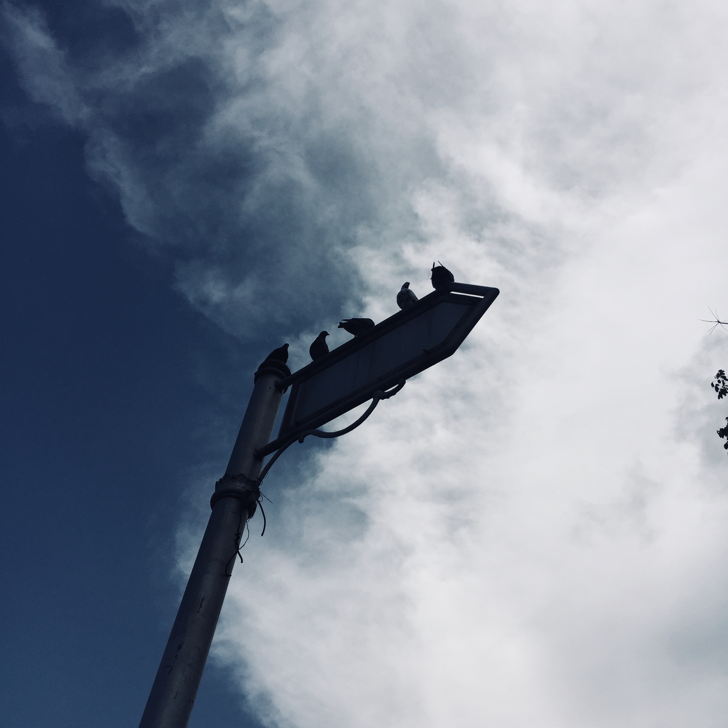 bekas bekas yang berupa tempat tempat tinggal dan perlindungan di dalam gua  atau di bawah karang di - Brainly.co.id