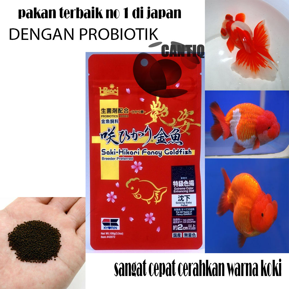 Pakan Ikan Pelet Saki Hikari Fancy Goldfish EXTREME Color Enhancing (  SINKING ) Pellet baby Stick Pelet Ikan Import Japan Makanan Ikan Mas Koki  Pakan Ikan mas Koki Tenggelam 100 gram | Lazada Indonesia
