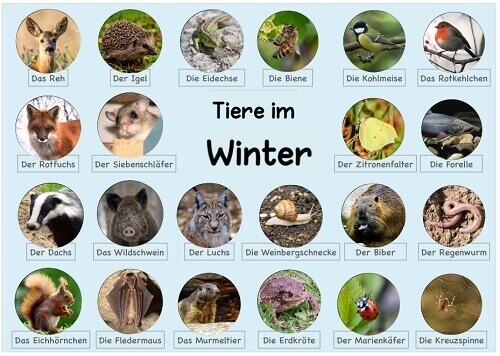 Ideenreise Blog Winter