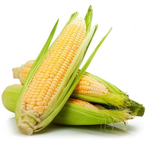 Jagung: Manfaat - Efek Samping dan Tips Konsumsi - IDN Medis
