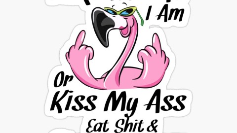 accept me for who i am or kiss my ass