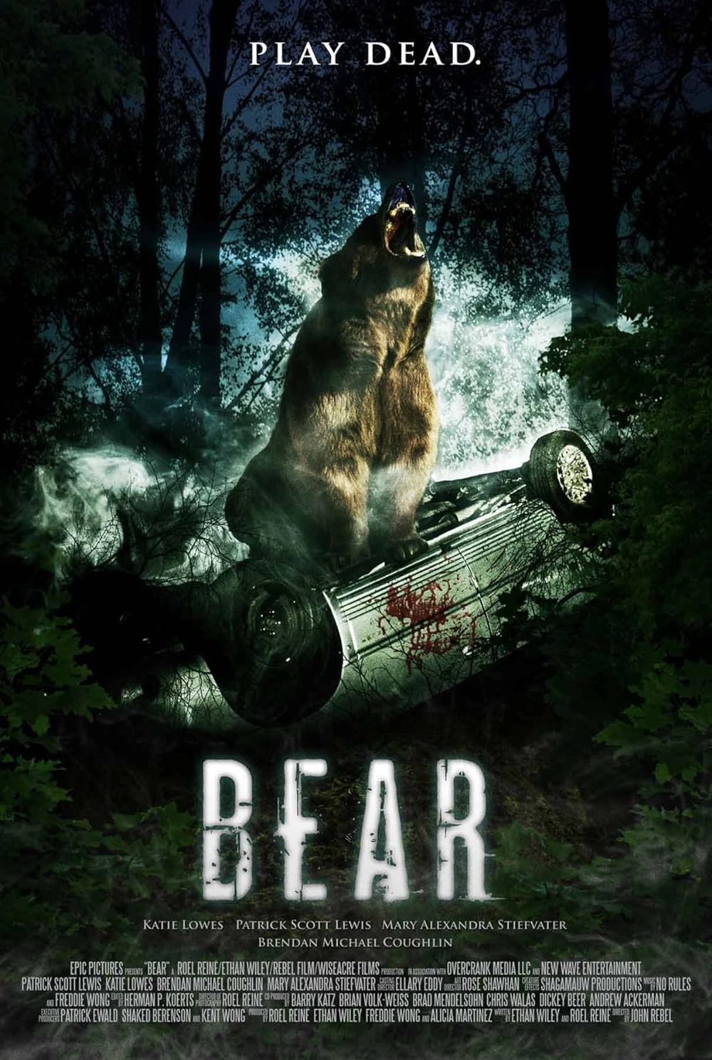 Bear 2010 Hindi ORG Dual Audio BluRay