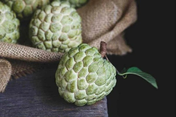 6 Manfaat Buah Srikaya bagi Kesehatan Tubuh Anda