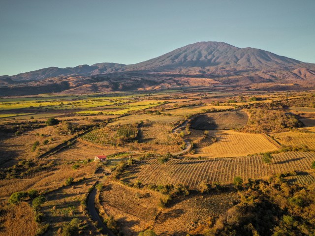 Valle de Guadalupe: Wine Country Without the Crowds